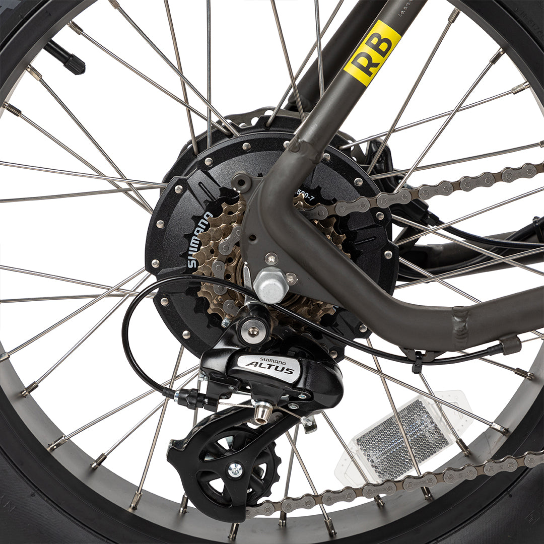 Bicicleta Eléctrica Wild Negro Mate