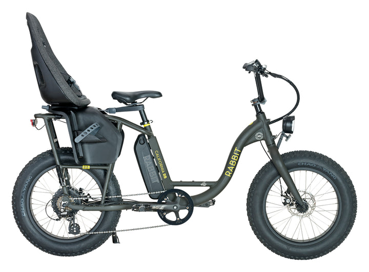 Silla Thule portaniño Yepp Nexxt Maxi