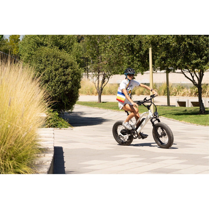 Bicicleta Eléctrica Wild Negro Mate