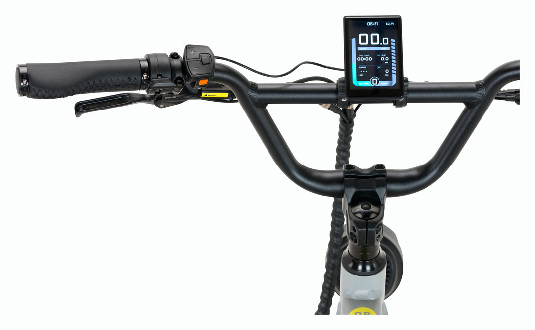 NUEVA ⚡️ Bicicleta Eléctrica Wild Gris