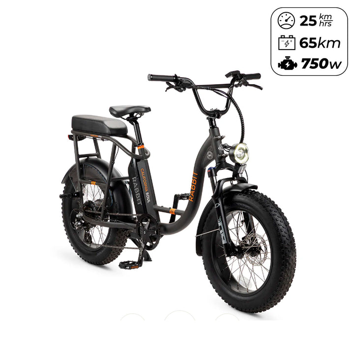 Bicicleta Eléctrica California Soul