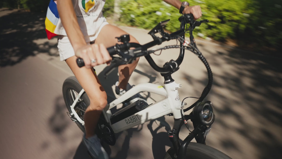 Bicicleta Eléctrica Wild Negro Mate