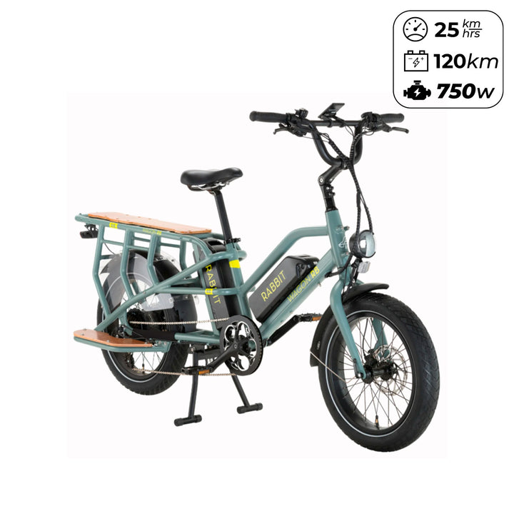 NUEVA ⚡️ Bicicleta Electrica Rabbit Wagon verde