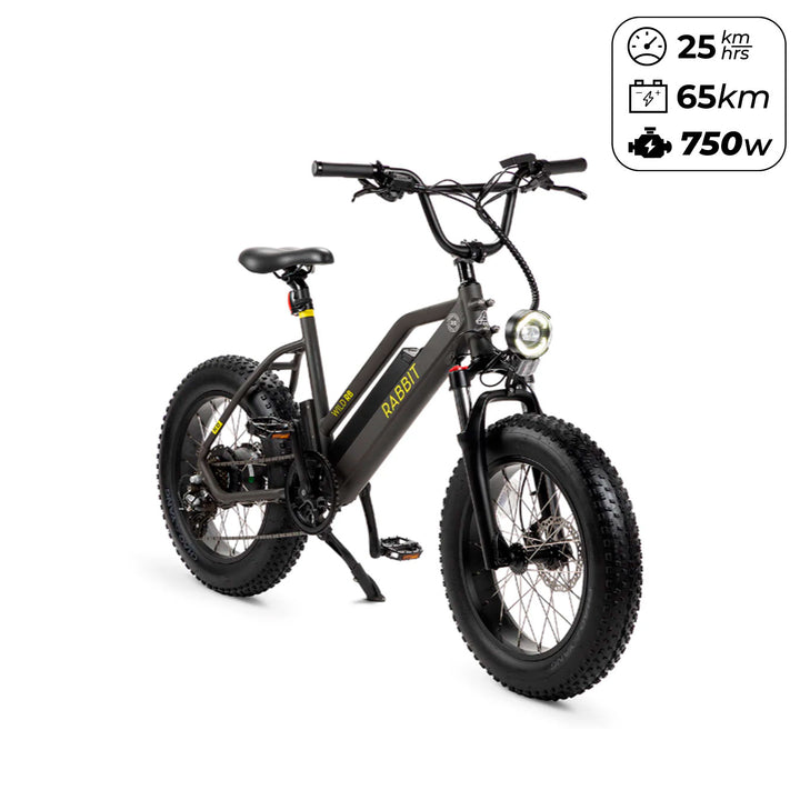 Bicicleta Eléctrica Wild Negro Mate